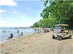 View larger image of People at lake surrounded by trees with several golf carts for transport at LAKELAND CAMPING RESORT image #9