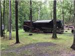 View larger image of A motorhome under trees at CIRCLE CG FARM CAMPGROUND image #3