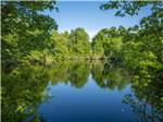 A view of the tree lined water at SUN OUTDOORS CAPE MAY - thumbnail