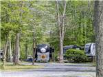 Trailers in tree lined sites at SUN OUTDOORS CAPE MAY - thumbnail