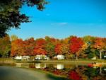 Parked trailer with fall trees at Sleepy Hollow Lake - thumbnail