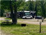 RVs among shade trees - thumbnail