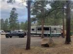 View larger image of RV parked at campsite at GREERS PINE SHADOWS RV PARK image #3