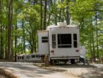 Parked RV's at site Bobby Brown - thumbnail
