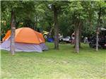 Tent camping at CHRIS' CAMP & RV PARK - thumbnail