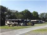 View larger image of RVs parked in a row at BLACK BEAR CAMPGROUND image #3