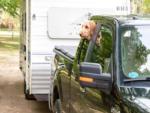 A dog in a truck pulling a trailer - thumbnail
