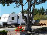 A travel trailer at a site - thumbnail