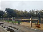 The fenced dog area - thumbnail