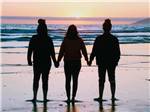 Three people holding hands on the beach - thumbnail