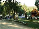 Log lined path at Riverview RV Park & Campground - thumbnail