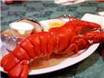 View larger image of A cooked lobster on a plate at SEA-VU CAMPGROUND image #2