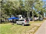 Camping on grassy sites under tall trees at SEA-VU CAMPGROUND - thumbnail