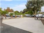 RV lot and RVs in the background - thumbnail