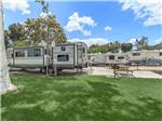 RVs parked near trees and grass - thumbnail