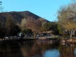 Ducks swimming in the pond at WOODS VALLEY KAMPGROUND & RV PARK - thumbnail