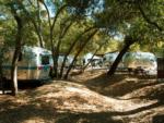 Airstreams backed in under some trees at WOODS VALLEY KAMPGROUND & RV PARK - thumbnail