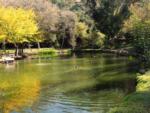 Another view of the ducks in the lake at WOODS VALLEY KAMPGROUND & RV PARK - thumbnail