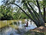 A kid on a rope swing going into the water at ELKHORN CREEK RV PARK - thumbnail