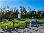 A view of the miniature golf at BLUEWAY RV VILLAGE - thumbnail