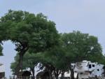 RV parked under trees at Bending Oaks Ranch RV Resort - thumbnail