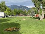 A large grass area with flowers at MOUNTAIN SHADOWS RV PARK & MHP - thumbnail