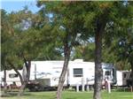 A line of trees in front of a fifth wheel trailer at HAT ROCK CAMPGROUND - thumbnail