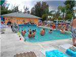 View larger image of People swimming in the pool at SUN N SHADE RV RESORT image #5