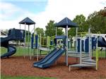 View larger image of The playground equipment at LONE PINE CAMPSITES image #7