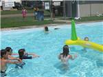 View larger image of A group of kids in the swimming pool at LONE PINE CAMPSITES image #9