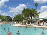 View larger image of People swimming in the pool at FORT MYERS BEACH RV RESORT image #1