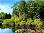 View larger image of The river with green trees surrounding at SINGING WATERS CAMPGROUND image #1