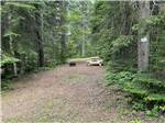 Dirt road leading to picnic table at STILLWATER TENT & RV PARK - thumbnail
