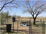 View larger image of The fenced in pet area with a picnic bench at OVERNITE RV PARK image #6