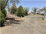 View larger image of A gravel road next to a picnic table at OVERNITE RV PARK image #9