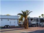 View larger image of RVs and trailers at campground at LAS VEGAS RV RESORT image #9