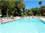 View larger image of Swimming pool with outdoor seating at BULOW RV RESORT image #2