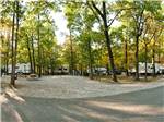 Shady gravel RV sites - thumbnail
