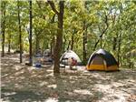 Tents among tall shade trees - thumbnail