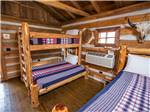 Beds in a rental cabin - thumbnail