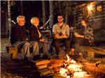 Two couples sitting by the fire at night - thumbnail