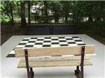 The oversized checkerboard at PRINCE WILLIAM FOREST RV CAMPGROUND - thumbnail