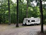 Trailer parked near woods at site Wolf's Den Family Campground - thumbnail