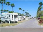View larger image of Trailers and RVs camping at ENCORE PARADISE PARK image #1