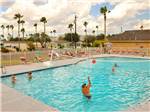 View larger image of People swimming in the pool at ENCORE PARADISE PARK image #2