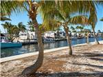 View larger image of RVs parked along a dock area on a long channel at BIG PINE KEY RESORT image #8