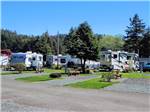 RVs, lush green trees and bright blue sky at Port Orford RV Village - thumbnail