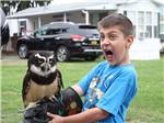 A excited boy holding a owl at THE "WILLOWS" ON THE LAKE RV PARK & RESORT - thumbnail