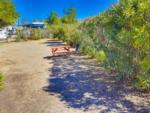 A picnic bench in a dirt area at VACATIONER RV PARK - thumbnail