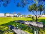 A row of trailers backed in by a grassy area at VACATIONER RV PARK - thumbnail